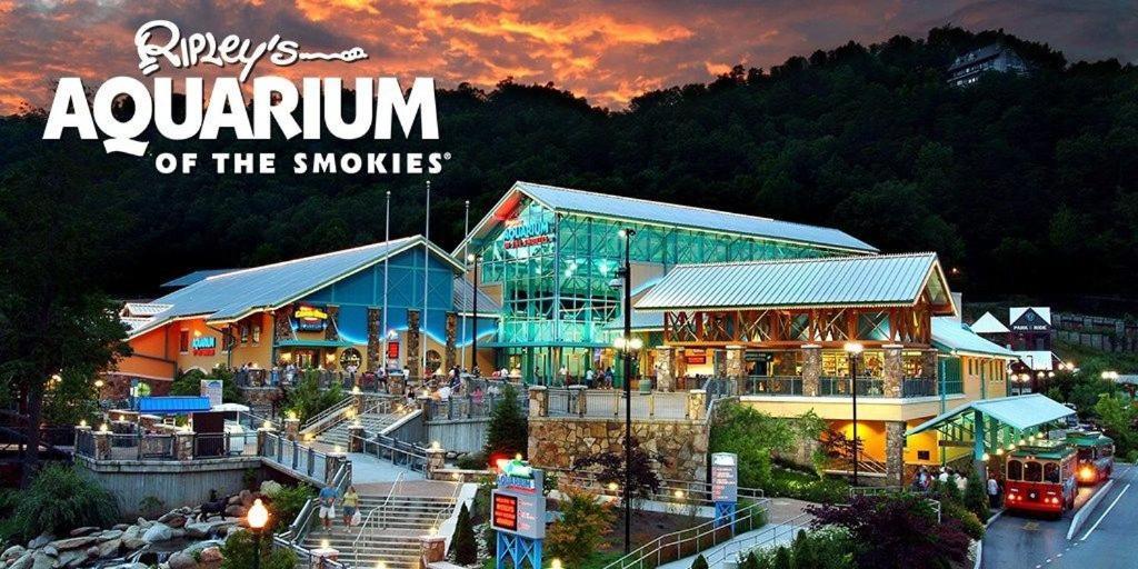 210 Cubs In The Treetops - Luxurious Cabin In Gatlinburg Luaran gambar